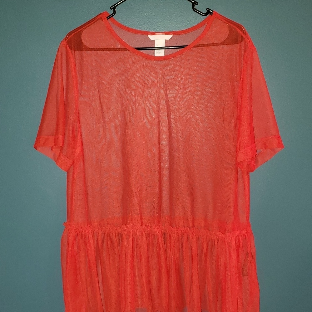H & M Sheer Tutu Top